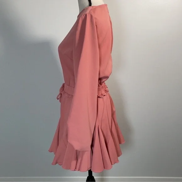 Mainstrip Peach Pink Long Sleeve Smocked Waist Ruffle Mini Dress – Size M - Picture 6 of 12